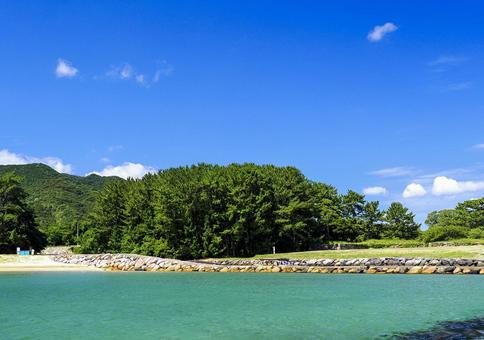 菊ヶ浜と松林 菊ヶ浜と松林 菊ヶ浜,砂浜,ビーチの写真素材