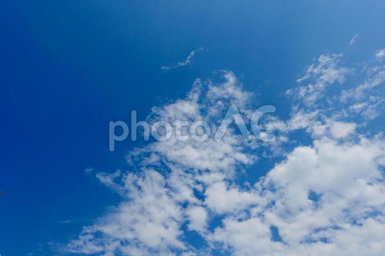 夏のちぎれ雲 ちぎれ雲,夏の雲,青空の写真素材