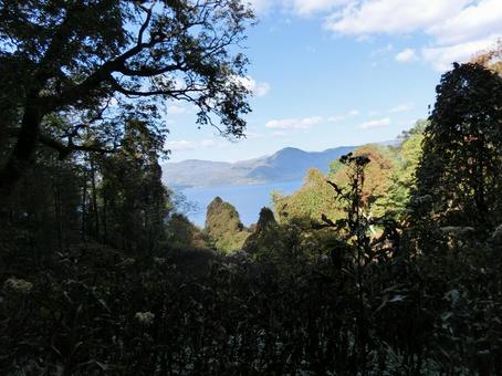 中島からの洞爺湖 風景,自然,木の写真素材