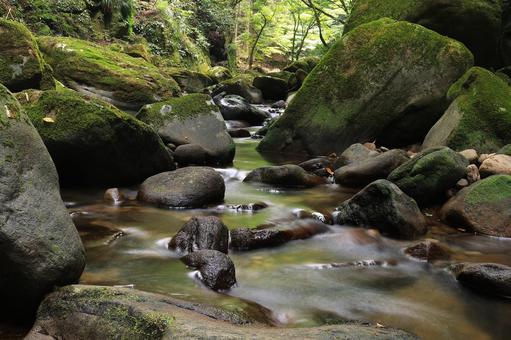 渓流の巨岩と苔 三重県名張市,赤目四十八滝,苔の写真素材