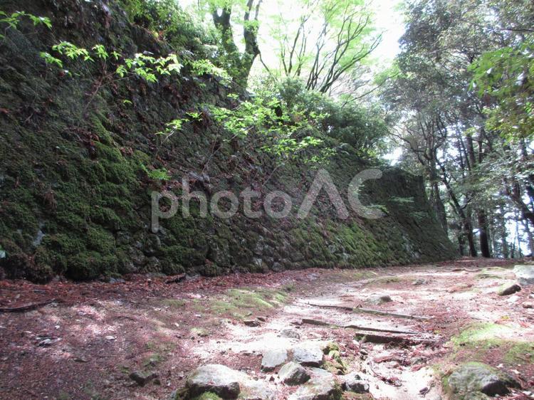 兵庫県-圓教寺-参道と石垣 圓教寺,寺,書寫山の写真素材