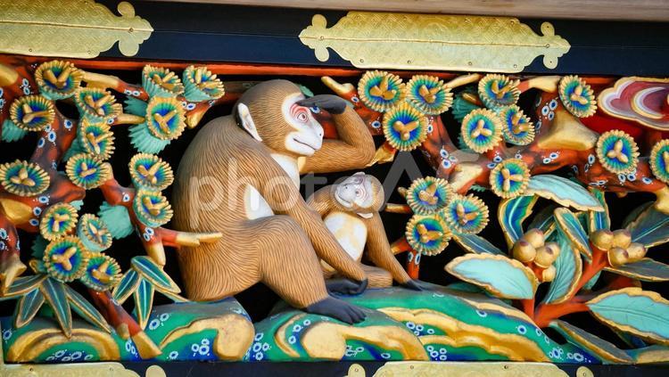 栃木県日光市（東照宮）No8 栃木県,日光市,日本最大規模の写真素材