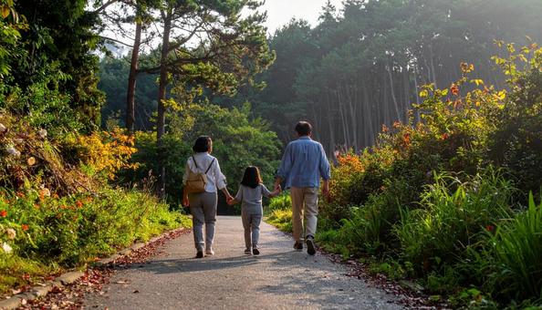 なごやかな雰囲気で森林を歩く家族の後ろ姿 なごやかな雰囲気で森林を歩く家族の後ろ姿の写真