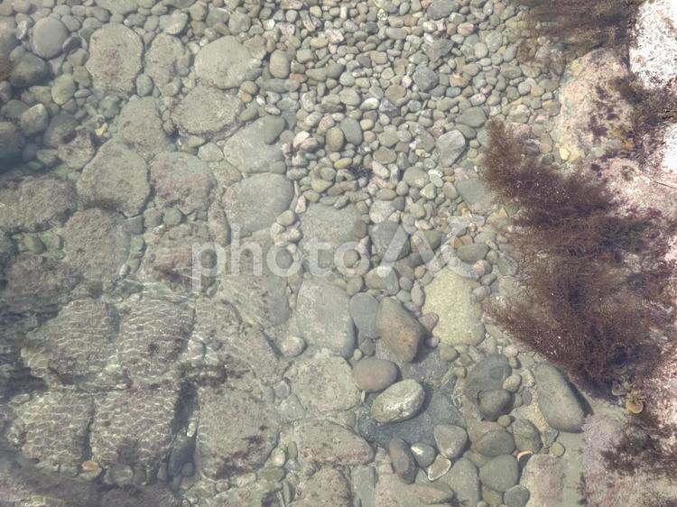 テクスチャ　透明な水の浅瀬 テクスチャ,透明,海底の写真素材