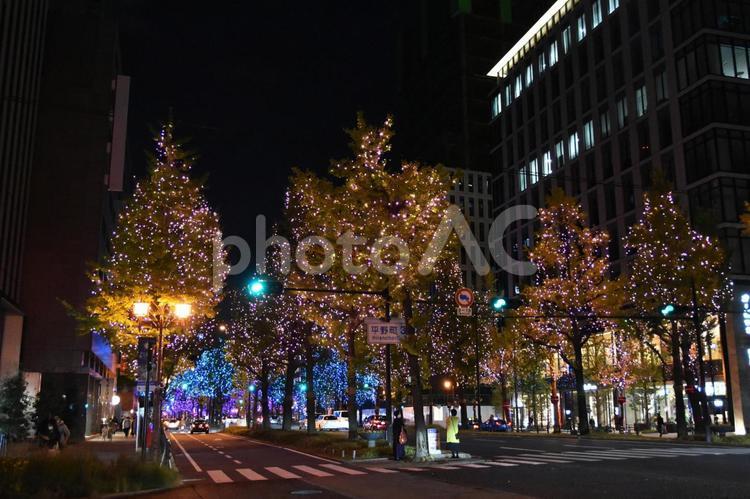 2022御堂筋イルミネーション 御堂筋,イルミネーション,夜景の写真素材