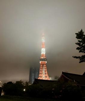 Photo, tower, tokyo, night view, 