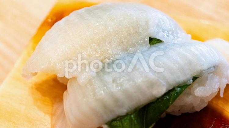 エンガワのにぎり寿司 エンガワ,握り寿司,寿司の写真素材