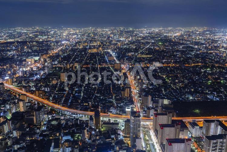[大阪府]あべのハルカスからの大阪市街の夜景 大阪府,大阪市,大阪の写真素材
