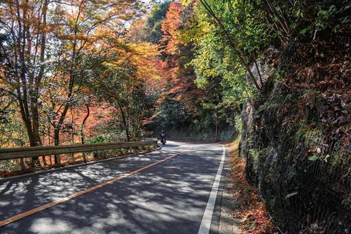 高雄 周山街道の紅葉のトンネル 京都,高雄,周山街道の写真素材