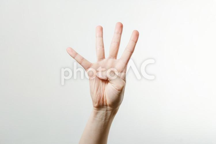 No.4を出している手 no.4,4,数の写真素材