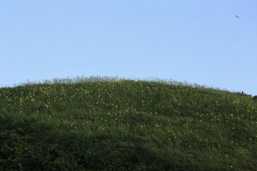南伊豆町の素晴らしいユウスゲ公園の景色 南伊豆町の素晴らしいユウスゲ公園の景色の写真