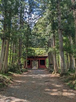 戸隠神社の参道と山門 戸隠神社の参道と山門の写真