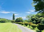 植栽美しいカート道路 カートパス,植栽,剪定の写真素材