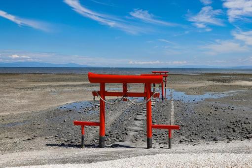 大魚神社の海中鳥居 大魚神社の海中鳥居 海中鳥居,沖之神,鳥居の写真素材