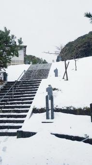 神社へ続く、階段〜鳥取県白兎神社 神社へ続く、階段〜鳥取県白兎神社 階段,雪,神社の写真素材