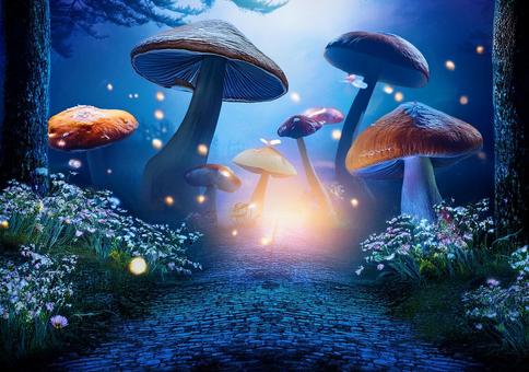 幻想の光が照らす不思議なキノコの森 幻想の光が照らす不思議なキノコの森の写真