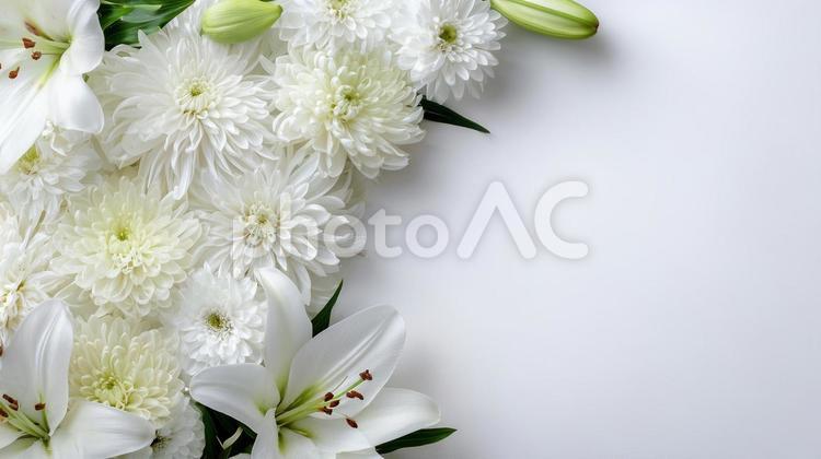 お葬式イメージの菊と百合の花 百合,菊,白の写真素材