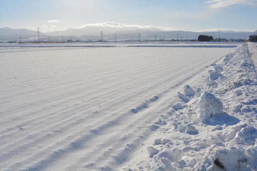 雪国の田園風景 山形県庄内 雪国の田園風景 山形県庄内 雪国の田園風景,雪国の水田,雪国の写真素材