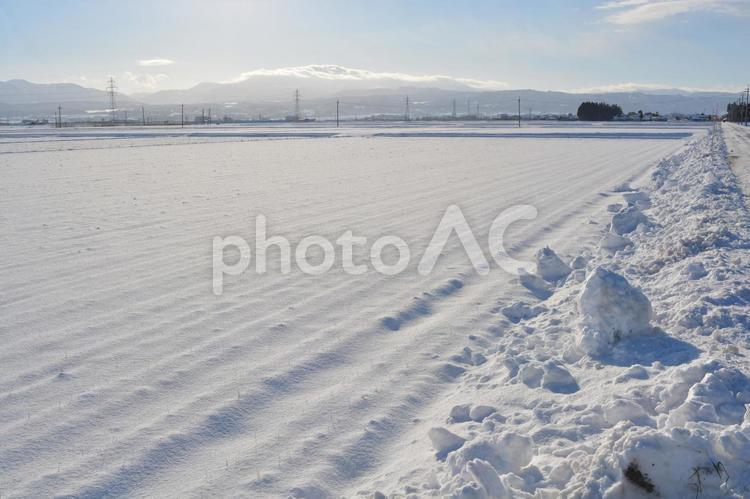 雪国の田園風景 山形県庄内 雪国の田園風景,雪国の水田,雪国の写真素材