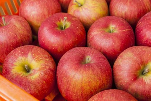 宮田村のリンゴ8 リンゴ,品種,シナノスイートの写真素材