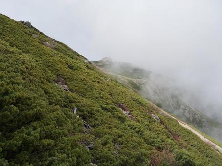 大門沢下降点手前の登山道 大門沢下降点,白根三山,北岳の写真素材