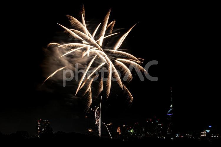 煌めく打ち上げ花火と夜景の街並み 花火,打ち上げ花火,打上花火の写真素材