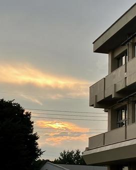 夕方の学校の風景 夕方の学校の風景 夕方,学校,小学校の写真素材