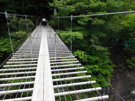 夢のつり橋、寸又峡 夢のつり橋、寸又峡の写真