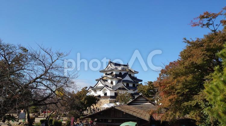 彦根城天守閣の秋晴れ 彦根城,国宝,天守閣の写真素材
