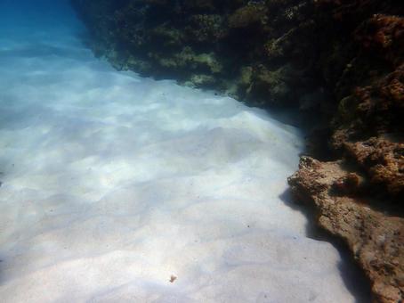 美しい砂地 美しい砂地 海,サンゴ,珊瑚礁の写真素材