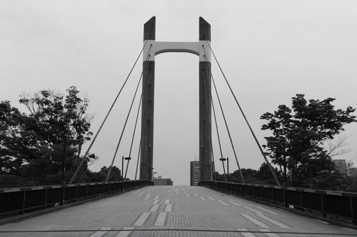 木場公園 木場公園,公園,モノクロの写真素材