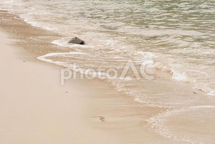 穏やかな波が打ち寄せる白い砂浜 白い,砂浜,海の写真素材