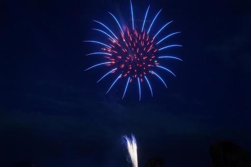 夏の夜空を彩る花火 夏の夜空を彩る花火 花火,夏,夜空の写真素材