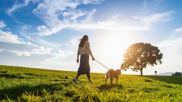 犬の散歩 女性1の写真