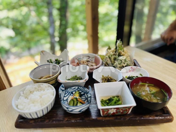 山菜料理　川床　御膳 山菜料理,山菜,山菜定食の写真素材