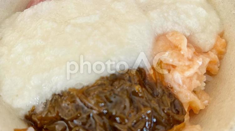 とろろマグロ丼 とろろ,マグロ丼,食事の写真素材