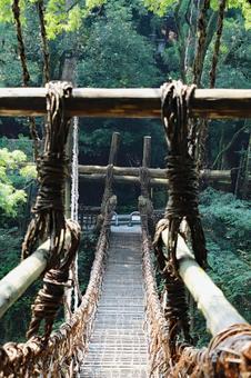 祖谷渓谷かずら橋7 祖谷渓谷かずら橋7の写真