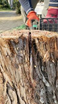Chainsaw Swedish Torch Making, JPG Chainsaw Swedish Torch Making, JPG