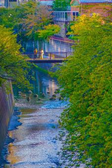 目黒区の橋と川沿いの風景 目黒区の橋と川沿いの風景の写真