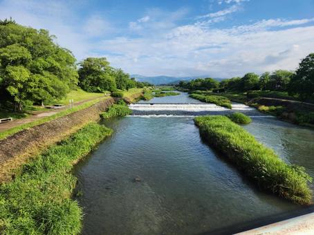 6月の鴨川 6月の鴨川の写真