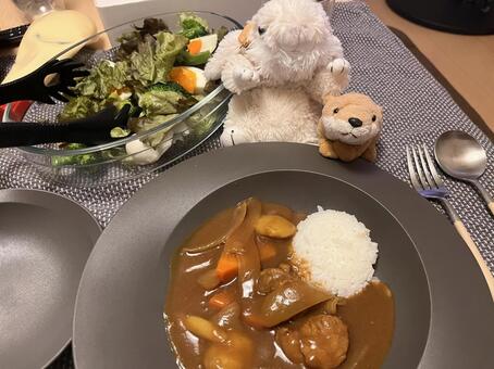 ぬい活 ぬい活,ぬいぐるみ,ぬい撮りの写真素材