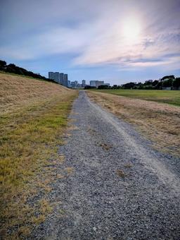 多摩川の通路(都会に向かう道) 多摩川の通路(都会に向かう道)の写真