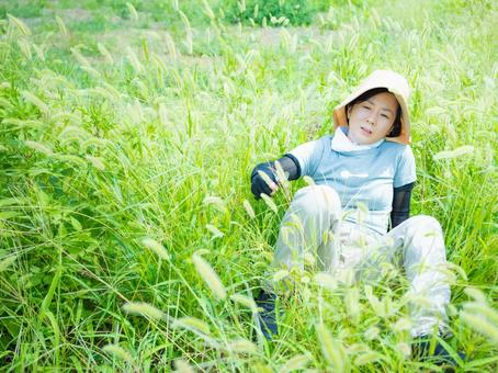 35:草むしりをする女性 35:草むしりをする女性 屋外作業,草刈り,雑草の写真素材