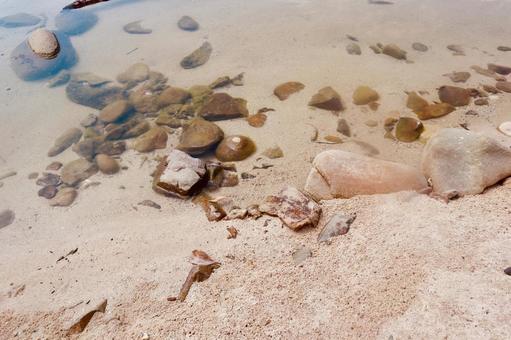 潮溜まり（福江島　高浜海水浴場） 潮溜まり,ビーチ,高浜海水浴場の写真素材