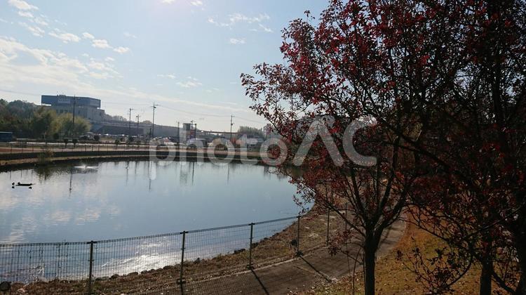 池のある風景 まぶしい,キラキラ,コピースペースの写真素材