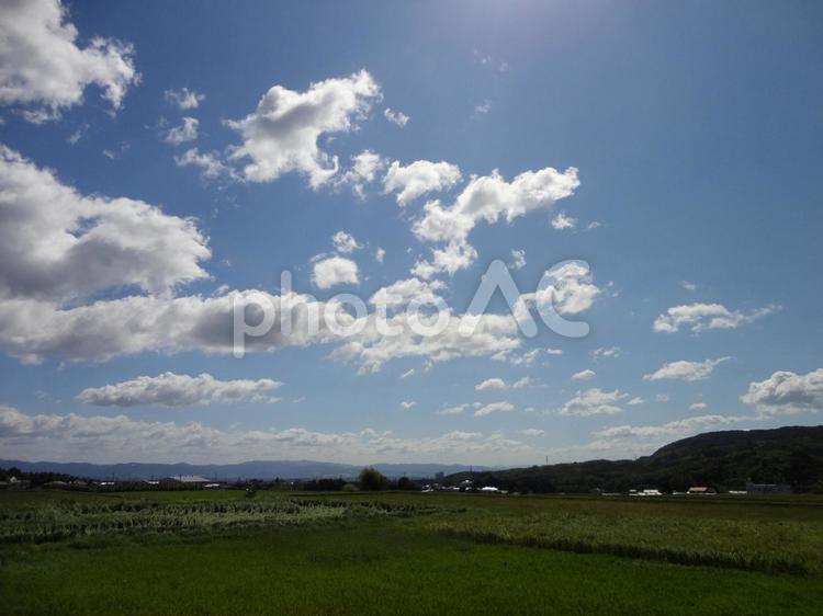 高く広がる青の世界_青空_滋賀県 青空,空,雲の写真素材