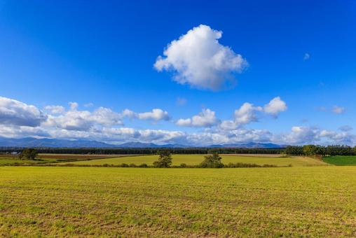 青空と畑 青空と畑 畑,緑の畑,十勝の写真素材