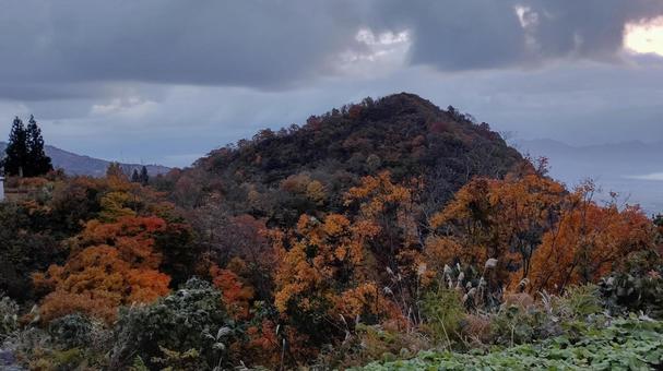 魚沼スカイラインの紅葉 紅葉,魚沼スカイライン,秋の写真素材