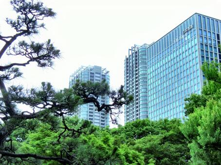 浜離宮恩賜庭園-6 浜離宮恩賜庭園,東京都中央区,庭園の写真素材