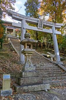 Photo, ooshiko shrine, approach, torii, 